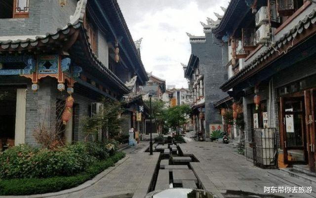 动物帮帮忙保卫家园